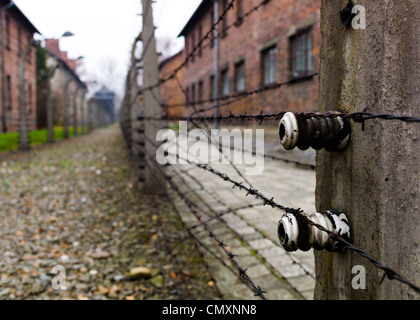 Il recinto elettrico nei dintorni di campo di concentramento di Auschwitz, Polonia Foto Stock