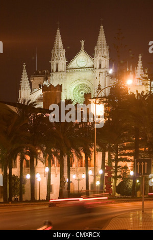 Spagna, Mallorca, kathedral, palme Foto Stock