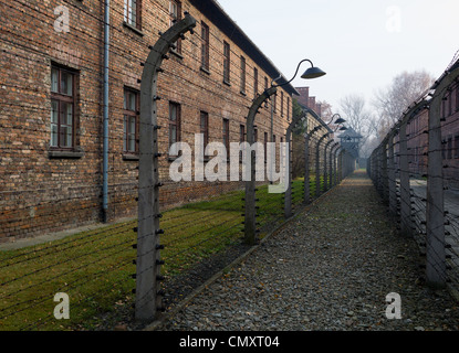 Il recinto elettrico nei dintorni di campo di concentramento di Auschwitz, Polonia Foto Stock