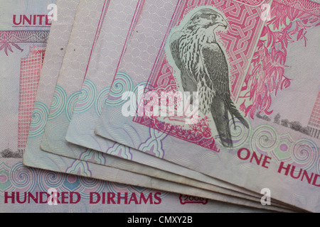 Dirhams dirham note moneta contante Emirati arabi uniti EMIRATI ARABI UNITI un centinaio di dirhams note Foto Stock