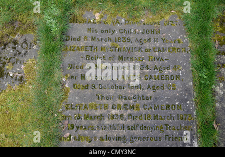 Le lapidi appena visibile attraverso l'erba nel cimitero presso la cattedrale di Glasgow, Scotland, Regno Unito. Foto Stock