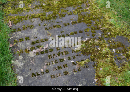 Le lapidi appena visibile attraverso l'erba nel cimitero presso la cattedrale di Glasgow, Scotland, Regno Unito. Foto Stock