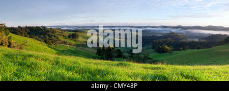 Pascoli di laminazione sull'altopiano di Atherton. Millaa Millaa, Queensland, Australia Foto Stock