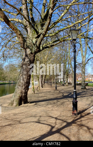 Il River side percorso sul Fiume Great Ouse, Bedford Foto Stock