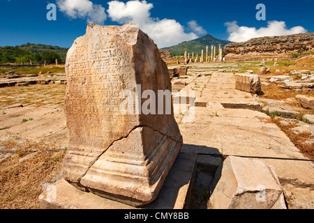 Incription greco su un plynth nel santuario di Artimis con l'Agora, Magnesia sul meandro del sito archeologico, Turchia Foto Stock