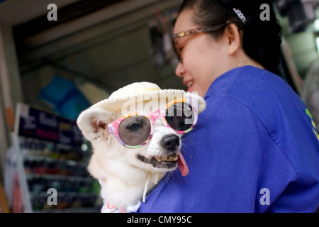 Una donna asiatica sta portando un cane che indossa un cappello e occhiali da sole su una strada di città in Chiang Rai, Thailandia. Foto Stock