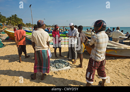 Negoziazione per il prezzo del pesce appena pescato su questo popolare occupato surf beach; Arugam Bay, Provincia Orientale, Sri Lanka, Asia Foto Stock