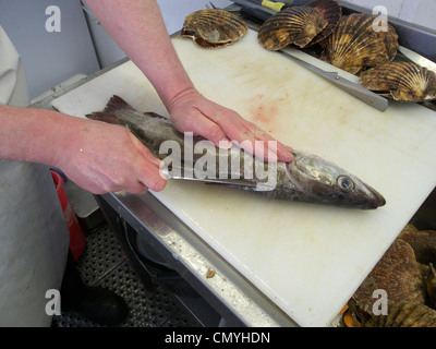 Regno Unito littlehampton un pescivendolo sfilettatura un pollock Foto Stock