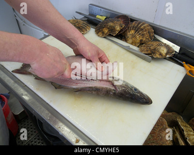 Regno Unito littlehampton un pescivendolo sfilettatura un pollock Foto Stock