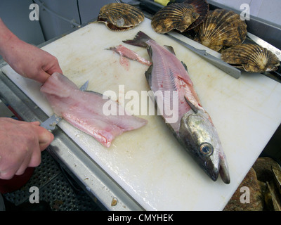 Regno Unito littlehampton un pescivendolo sfilettatura un pollock Foto Stock