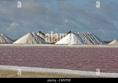 West Indies, Bonaire, saline, sale marino miniera di Pekelmeer Foto Stock