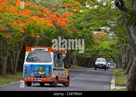 Fiamma alberi in fiore di Haven Louis vicolo, Trou Aux Biches, gelato auto, Maurizio, Africa Foto Stock