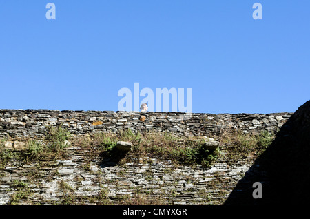 Antico muro romano - Lugo, Galizia - Spagna Foto Stock