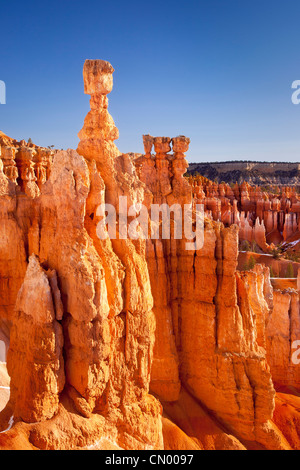 Thor martello della formazione di roccia al tramonto punto, Bryce Canyon National Park nello Utah Stati Uniti d'America Foto Stock