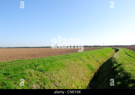 Fenland's Lincolnshire Inghilterra. Foto Stock