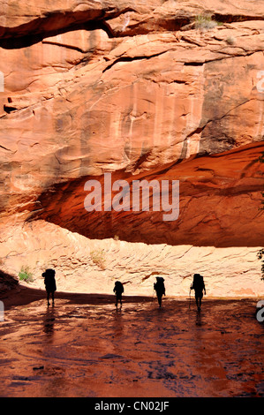 Famiglia backpacking in Coyote Gulch, un affluente del fiume Escalante nel sud dello Utah. Foto Stock