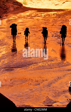 Famiglia backpacking in Coyote Gulch, un affluente del fiume Escalante nel sud dello Utah. Foto Stock