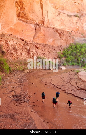 Famiglia backpacking in Coyote Gulch, un canyon laterale del fiume Escalante nel sud dello Utah. Foto Stock