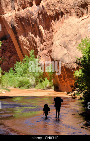 La madre e il figlio con lo zaino in spalla in Coyote Gulch, un affluente del fiume Escalante nel sud dello Utah. Foto Stock