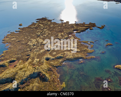 Antenna di lava e moss in autunno Lago Thingvellir , Thingvellir Parco Nazionale di Islanda Foto Stock
