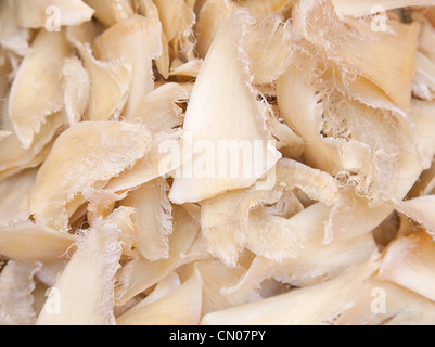 Essiccato di pinne di squalo in cinese tradizionale shop Foto Stock