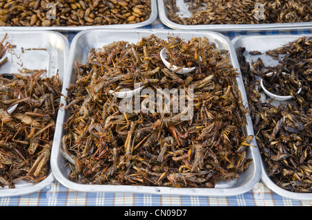 Insetti per la vendita nel mercato del venerdì, Kamala, Phuket, Tailandia Foto Stock