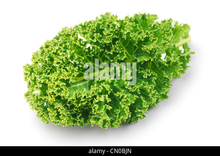 Kale - Giovanni Gollop Foto Stock