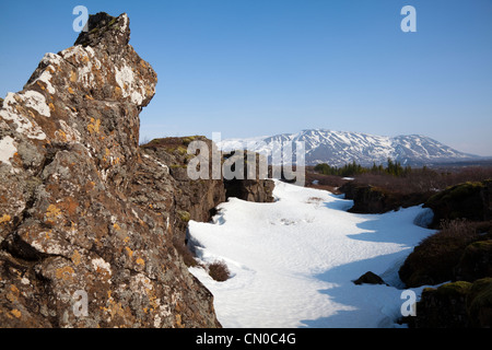 Þingvellir, Thingvellir, frattura tettonica anomalia linea, vicino alla penisola di Reykjanes, Islanda. Foto Stock