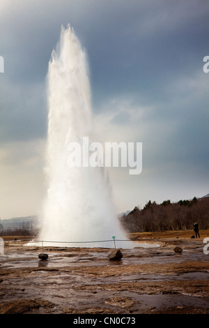Strokkur, una fontana geyser nell'area geotermale accanto al fiume Hvítá in Islanda che esplode in alto l'aria. Foto Stock
