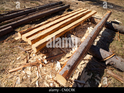 Abete rosso ( Picea abies ) log sono scortecciato e taglio di travi e utilizzata come materiale da costruzione , Finlandia Foto Stock