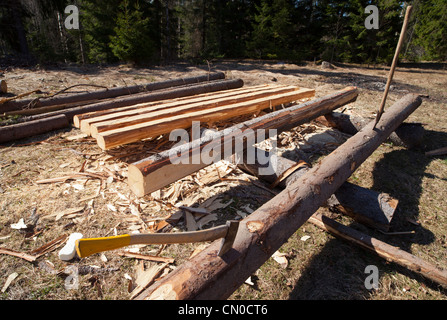 Abete rosso ( Picea abies ) log sono scortecciato e taglio di travi e utilizzata come materiale da costruzione , Finlandia Foto Stock