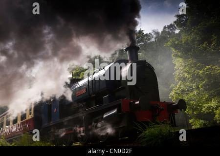 Regno Unito, Cumbria, Lakeside e ferrovia Haverthwaite, vapore loco princess uscire Newby Bridge station Foto Stock