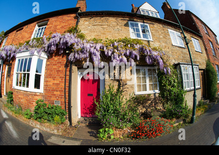 Città cottages con il glicine che crescono su di essi. Buckingham High Street, Bucks Foto Stock