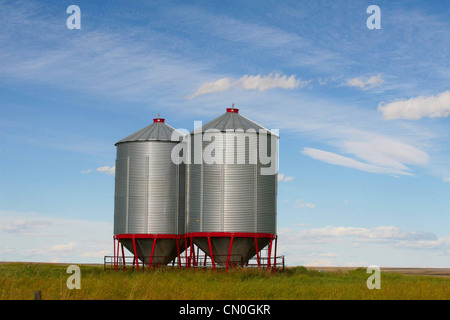 Grano in acciaio serbatoi di stoccaggio, elevatori della granella Foto Stock