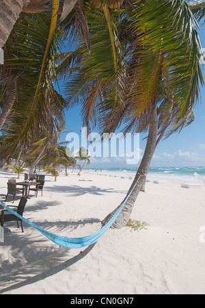 Amaca sulla spiaggia di sabbia bianca Tulum Messico Foto Stock