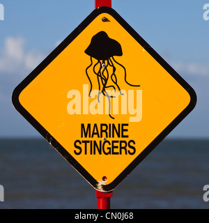 Marine Stinger segno di avvertimento Foto Stock