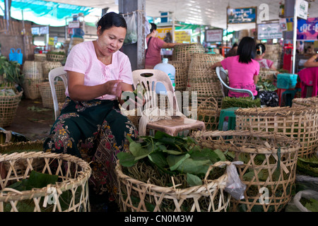 Una donna (indossando 'thanaka') tipi di betel foglie in Thirimingalar prodotti freschi di mercato in Yangon (Rangoon), Myanmar (Birmania) Foto Stock