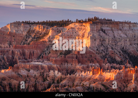 Luce prima del sorgere del sole che splende su hoodoos al Sunrise punto nel Parco Nazionale di Bryce Canyon dello Utah. Foto Stock