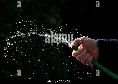 Mano la spruzzatura di acqua con tubo flessibile contro uno sfondo scuro Foto Stock