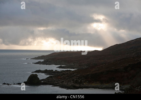 Alberi di sole sul Aird di Sleat, Skye, Scotland, Regno Unito. Foto Stock