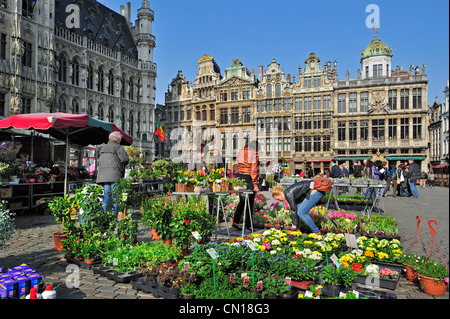 Pressione di stallo di fiori nella parte anteriore del Bruxelles Municipio presso la Grand Place / Grote Markt, Belgio Foto Stock