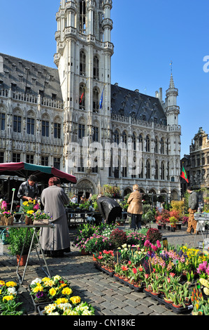 Pressione di stallo di fiori nella parte anteriore del Bruxelles Municipio presso la Grand Place / Grote Markt, Belgio Foto Stock