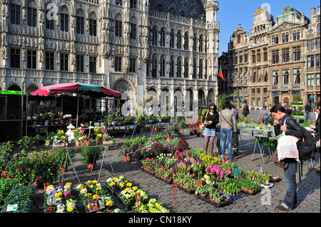 Pressione di stallo di fiori nella parte anteriore del Bruxelles Municipio presso la Grand Place / Grote Markt, Belgio Foto Stock