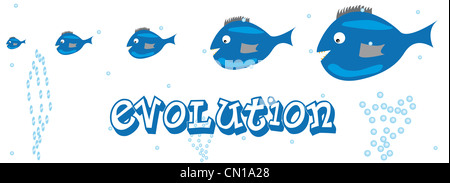 Pesci blu sotto l'acqua. Foto Stock