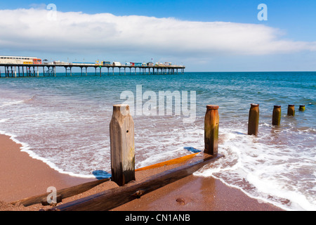 Pennelli di legname a Teignmouth Devon England Regno Unito Foto Stock