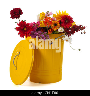 Giallo nel cestino riempito di fiori isolati su sfondo bianco Foto Stock