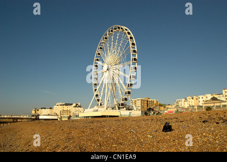 La ruota di Brighton attrazione turistica con rifiuti sinistra sulla spiaggia. Foto Stock