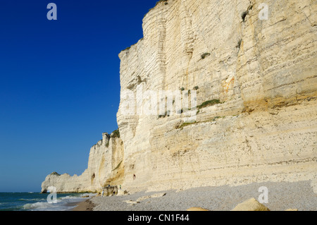 Francia, Seine Maritime, Pays de caux, Cote d'Alabastro (costa di alabastro), Etretat, Amont cliff Foto Stock