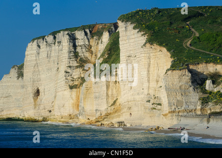 Francia, Seine Maritime, Pays de caux, Cote d'Alabastro (costa di alabastro), Etretat, Amont cliff Foto Stock