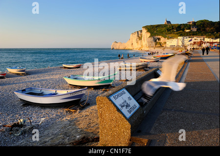 Francia, Seine Maritime, Pays de caux, Cote d'Alabastro (costa di alabastro), Etretat e la spiaggia, in background l'Amont Foto Stock